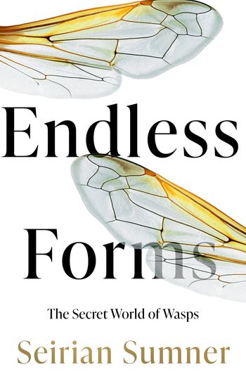 Endless Forms: The Secret World of Wasps - Seirian Sumner