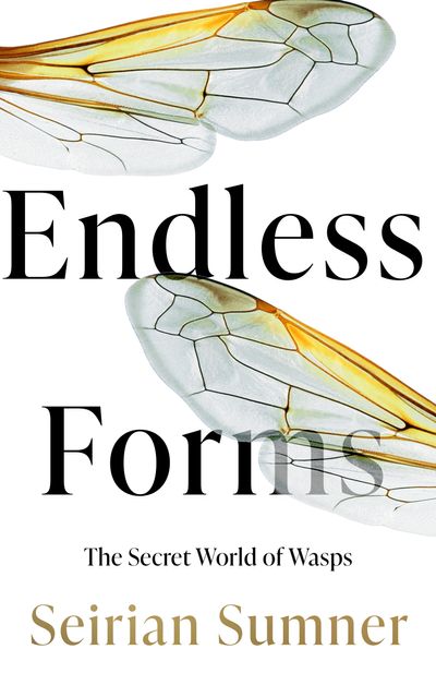 Endless Forms: The Secret World of Wasps - Seirian Sumner