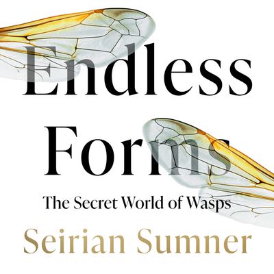 Cover image for Endless Forms: Why We Should Love Wasps: Unabridged edition - Seirian Sumner, Read by Seirian Sumner