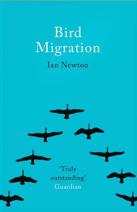 Cover image for Bird Migration - Ian Newton