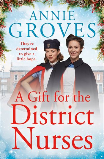 The District Nurses - A Gift for the District Nurses (The District Nurses, Book 4) - Annie Groves