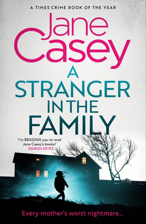 A Stranger in the Family, Fiction, Paperback, Jane Casey