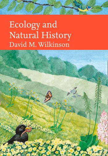 Cover image for  - David Wilkinson