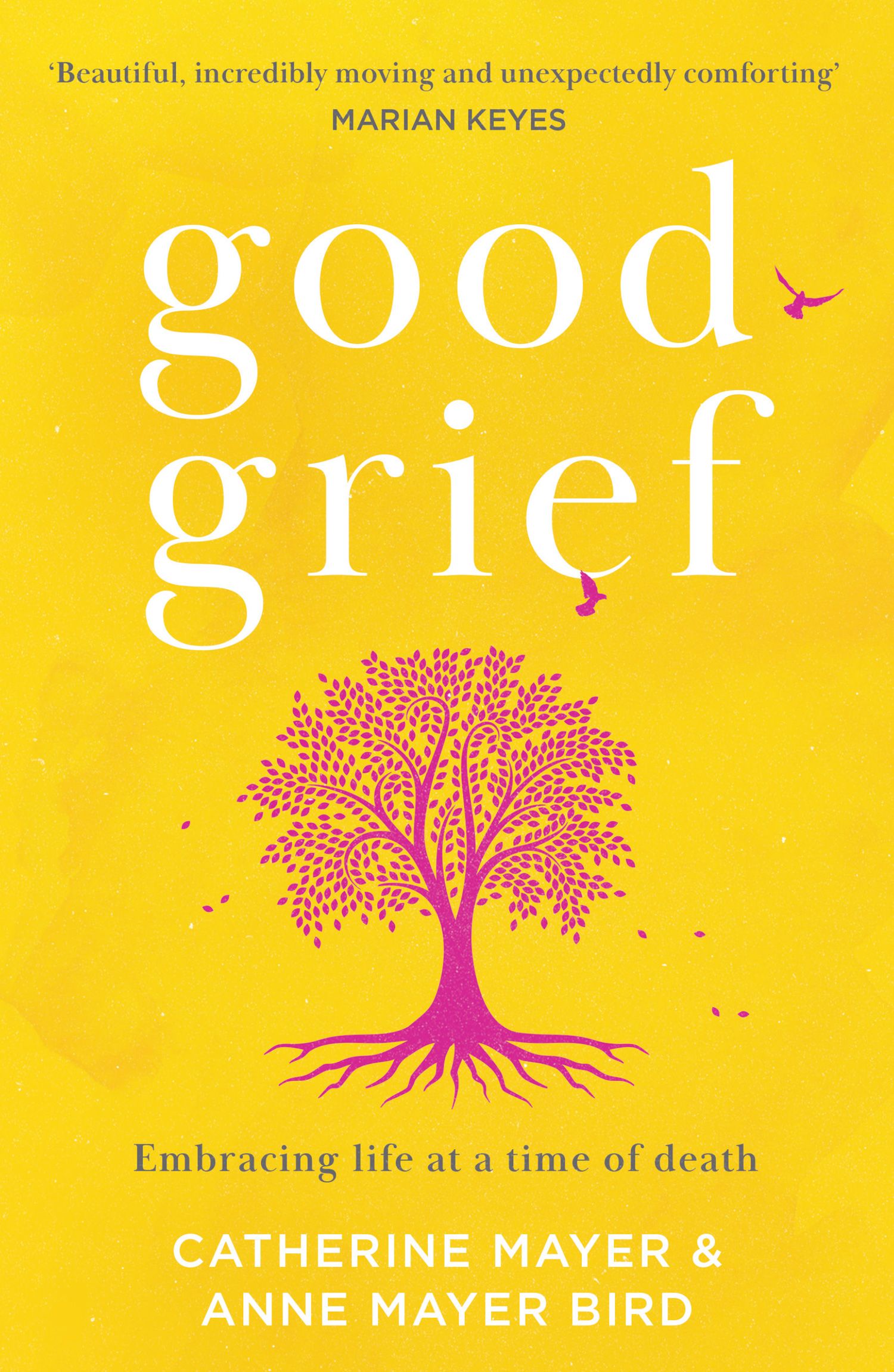 Good Grief: Embracing life at a time of death - HarperReach