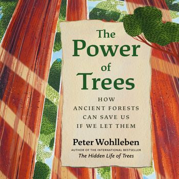 The Power of Trees: Unabridged edition - Peter Wohlleben, Read by Mike Grady