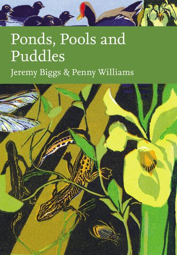 Ponds, Pools and Puddles (Collins New Naturalist Library) - Jeremy Biggs and Penny Williams