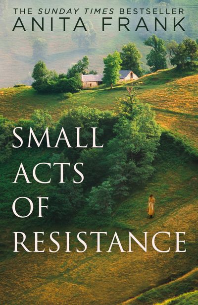 Cover image for Small Acts of Resistance - Anita Frank