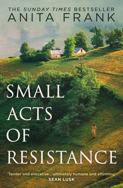 Cover image for Small Acts of Resistance - Anita Frank