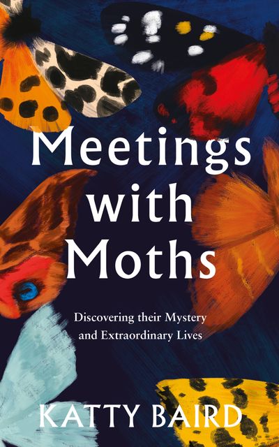 Meetings with Moths - Katty Baird