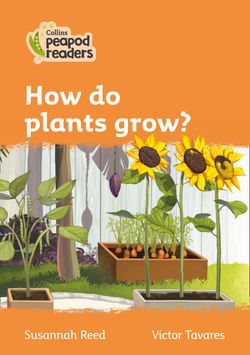Level 4 – How do plants grow?