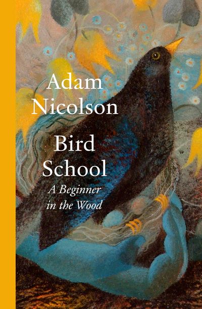 Cover image for Bird School: A Beginner in the Wood - Adam Nicolson