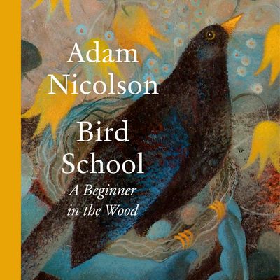 Cover image for Bird School: A Beginner in the Wood: Unabridged edition - Adam Nicolson, Read by Leighton Pugh