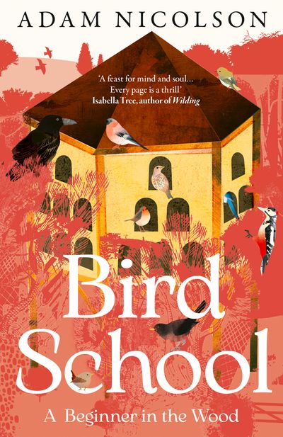 Cover image for Bird School: A Beginner in the Wood - Adam Nicolson