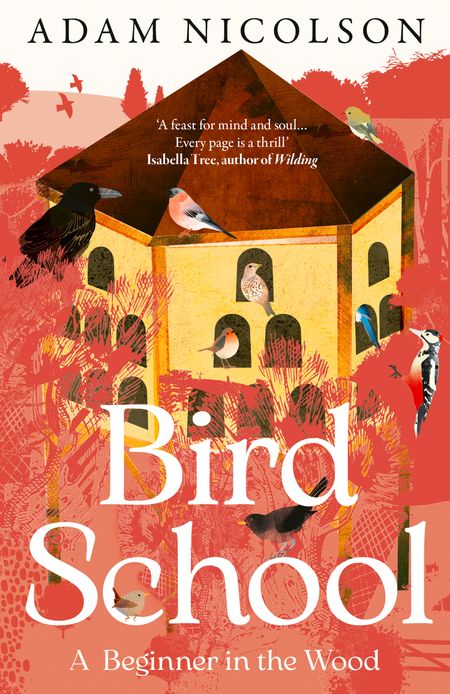 Cover image for Bird School: A Beginner in the Wood - Adam Nicolson