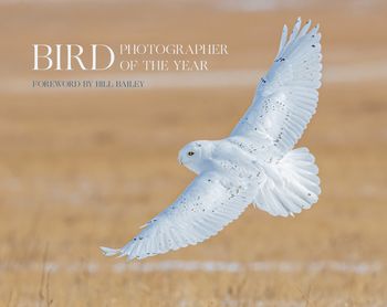 Bird Photographer of the Year - Bird Photographer of the Year: Collection 6 (Bird Photographer of the Year) - Bird Photographer of the Year