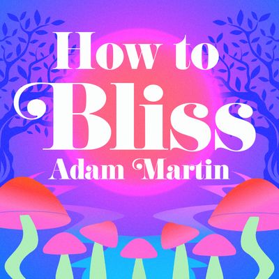 How to Bliss: Unabridged edition - Adam Martin, Read by Adam Martin