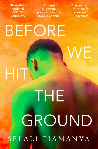 Cover image for Before We Hit the Ground - Selali Fiamanya