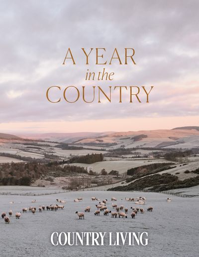 A Year in the Country - The editors of Country Living