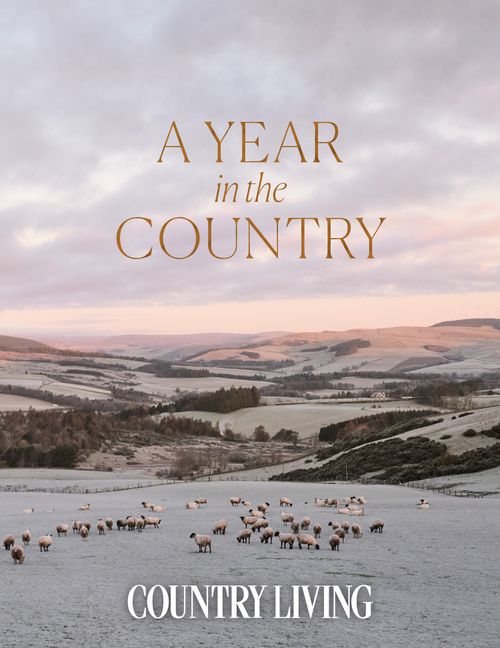 A Year In The Country The Editors Of Country Living - Image 8