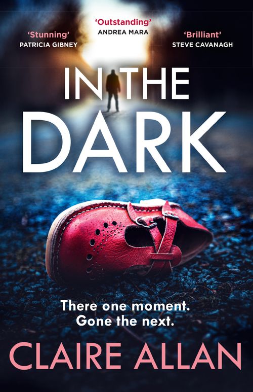 In The Dark, Contemporary Fiction, Paperback, Claire Allan