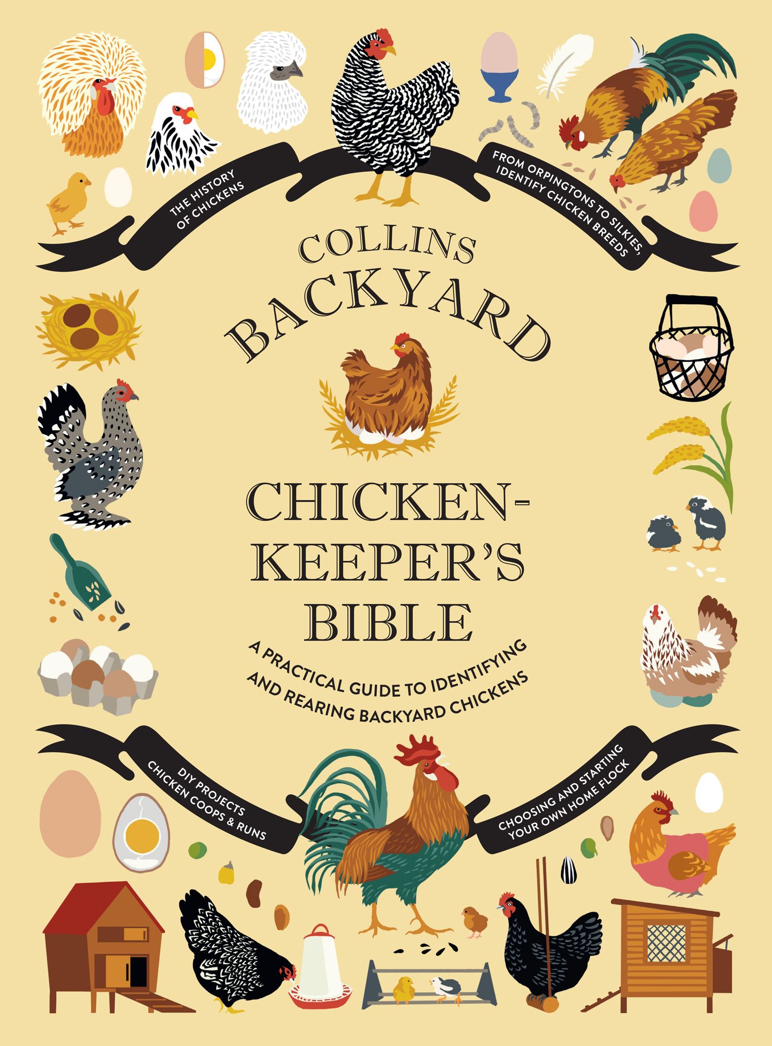 Pam's Backyard Chickens: A Guide to Chicken Feather Types
