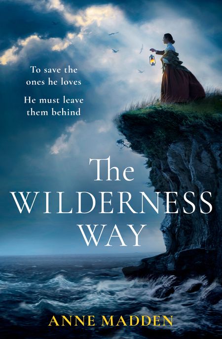 Cover image for The Wilderness Way - Anne Madden