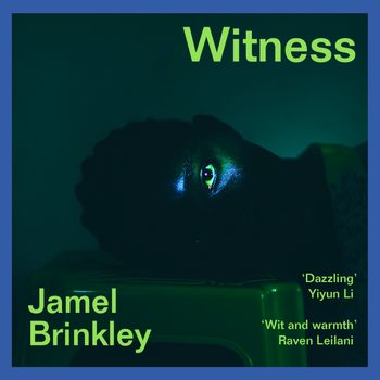 Witness: Unabridged edition - Jamel Brinkley, Read by Greg Lockett