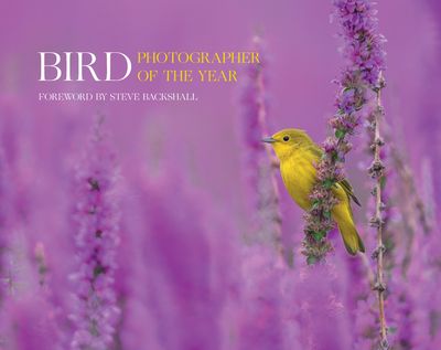 Bird Photographer of the Year: Volume 7 - Bird Photographer of the Year, Foreword by Steve Backshall