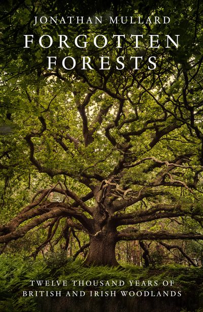 Forgotten Forests: Twelve Thousand Years of British and Irish Woodlands - Jonathan Mullard