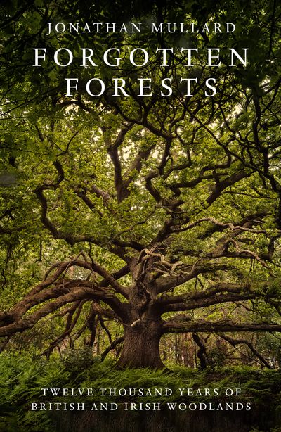 Cover image for Forgotten Forests: Twelve Thousand Years of British and Irish Woodlands - Jonathan Mullard