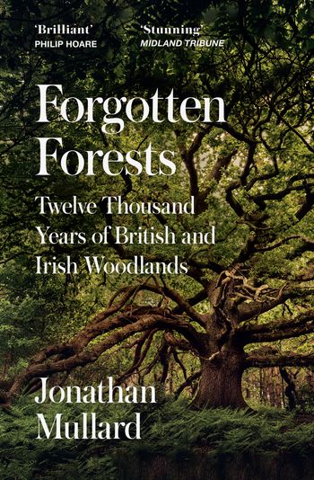 Cover image for  - Jonathan Mullard