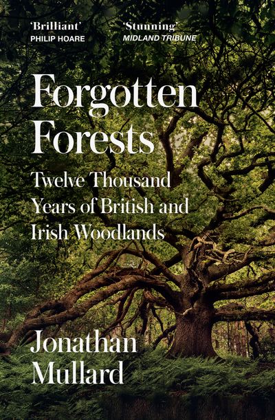 Cover image for Forgotten Forests: Twelve Thousand Years of British and Irish Woodlands - Jonathan Mullard