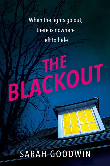 Cover image for The Thriller Collection - The Blackout (The Thriller Collection, Book 4) - Sarah Goodwin