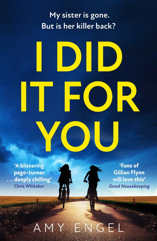 I Did It For You, Contemporary Fiction, Paperback, Amy Engel