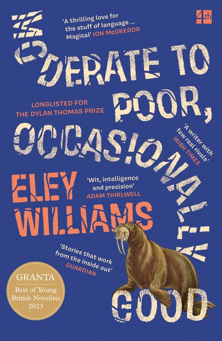 Cover image for Moderate to Poor, Occasionally Good - Eley Williams