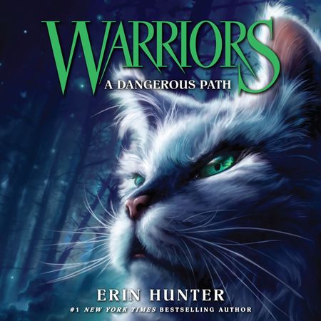 Warriors - A Dangerous Path (Warriors, Book 5): Unabridged edition