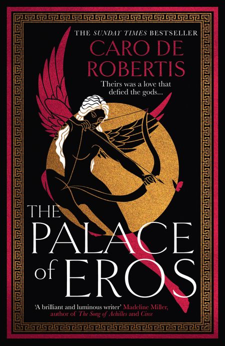 Cover image for The Palace of Eros - Caro De Robertis