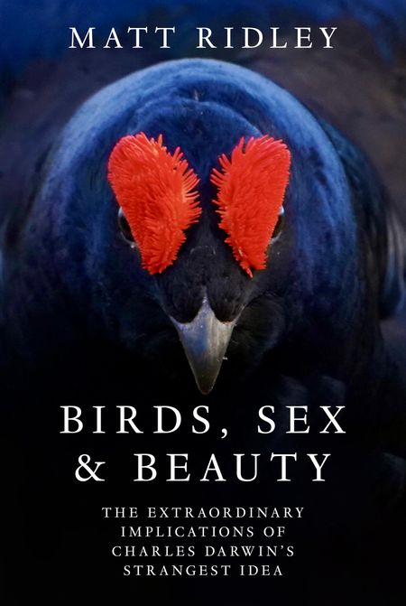 Cover image for Birds, Sex and Beauty: The extraordinary implications of Charles Darwin’s strangest idea - Matt Ridley