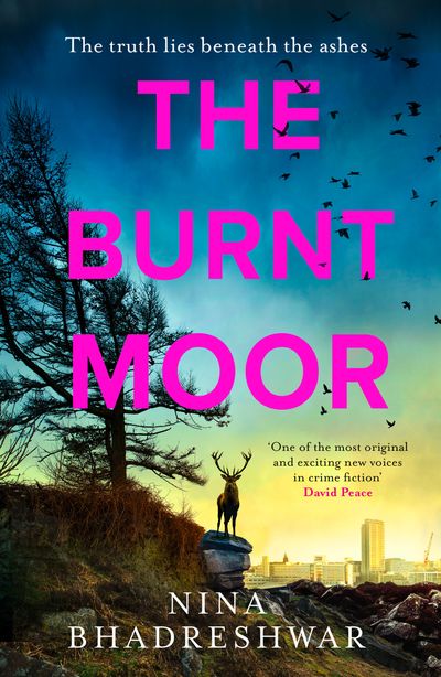 Cover image for Diana Walker - The Burnt Moor (Diana Walker, Book 2) - Nina Bhadreshwar