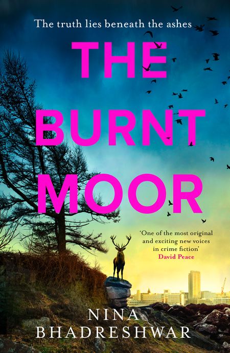 Cover image for Diana Walker - The Burnt Moor (Diana Walker, Book 2) - Nina Bhadreshwar