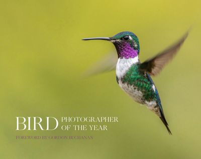 Bird Photographer of the Year - Bird Photographer of the Year (Bird Photographer of the Year): Collection 8 edition - Bird Photographer of the Year, Foreword by Gordon Buchanan