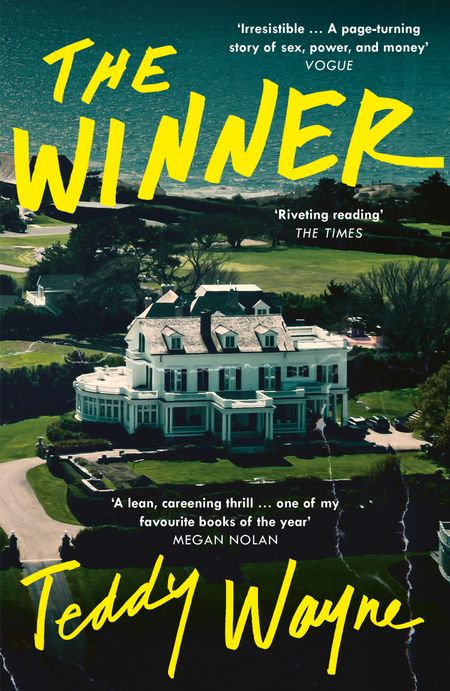 Cover image for The Winner - Teddy Wayne