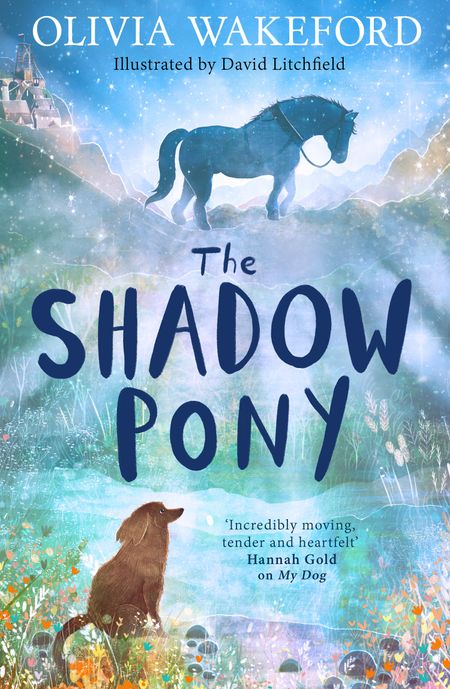 Cover image for The Shadow Pony - Olivia Wakeford, Illustrated by David Litchfield