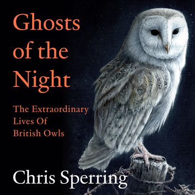 Cover image for Ghosts of the Night: The Extraordinary Lives of British Owls: Unabridged edition - Chris Sperring, Read by Robin Kingsland