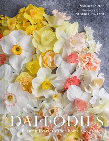 Daffodils: Beautiful Varieties for Home and Garden - Naomi Slade and Georgianna Lane