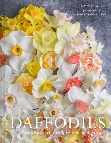 Cover image for Daffodils: Beautiful Varieties for Home and Garden - Naomi Slade and Georgianna Lane