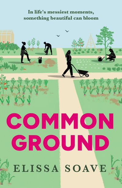 Cover image for Common Ground - Elissa Soave