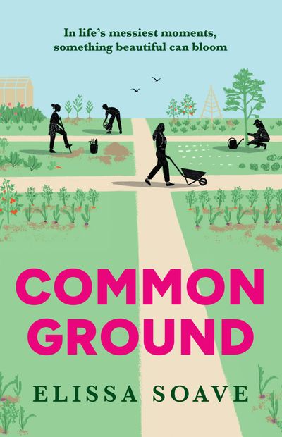 Cover image for Common Ground - Elissa Soave