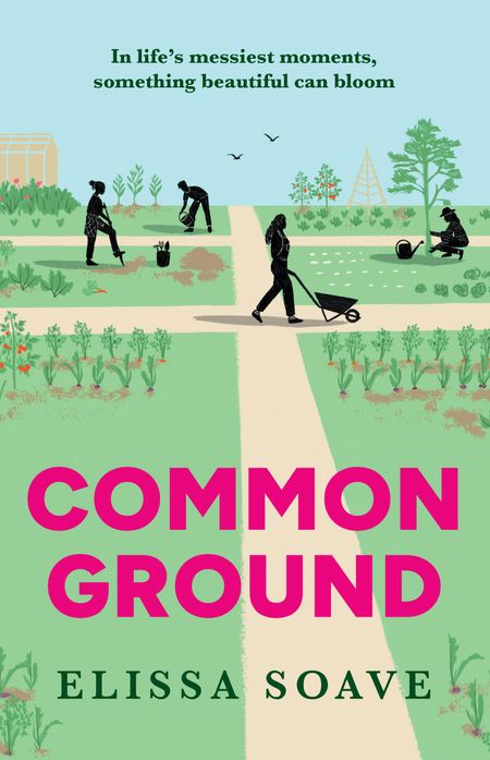 Cover image for Common Ground - Elissa Soave