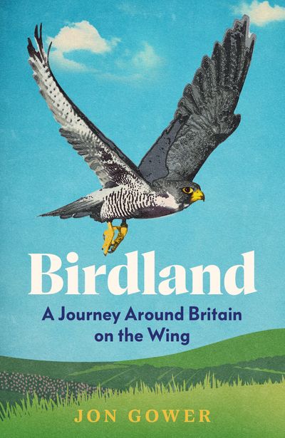 Birdland: A Journey Around Britain on the Wing - Jon Gower